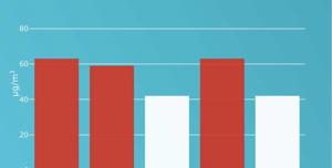 Allarme smog pm10, l’esperto: “Rischiamo asma, infezioni e bronchiti acute”