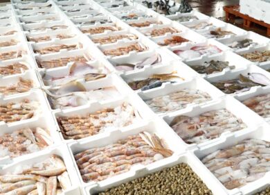 Il pesce allevato supera quello pescato. Un documentario svela la verità