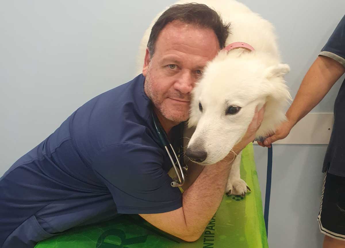 Cani killer, il veterinario della Polizia: “Non sono pazzi, colpa dell’uomo” Cani killer, il veterinario della Polizia: “Non sono pazzi, colpa dell’uomo”