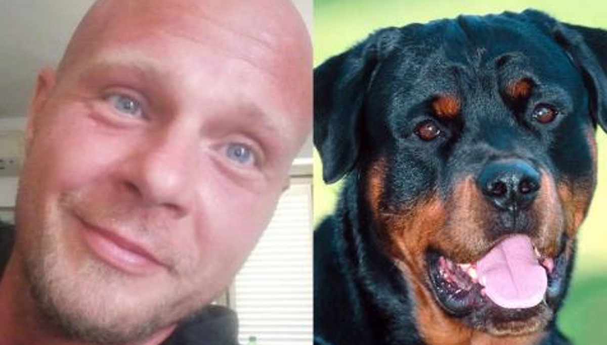 Bimba e nonna aggredite dai cani: la piccola è ancora grave, la donna migliora