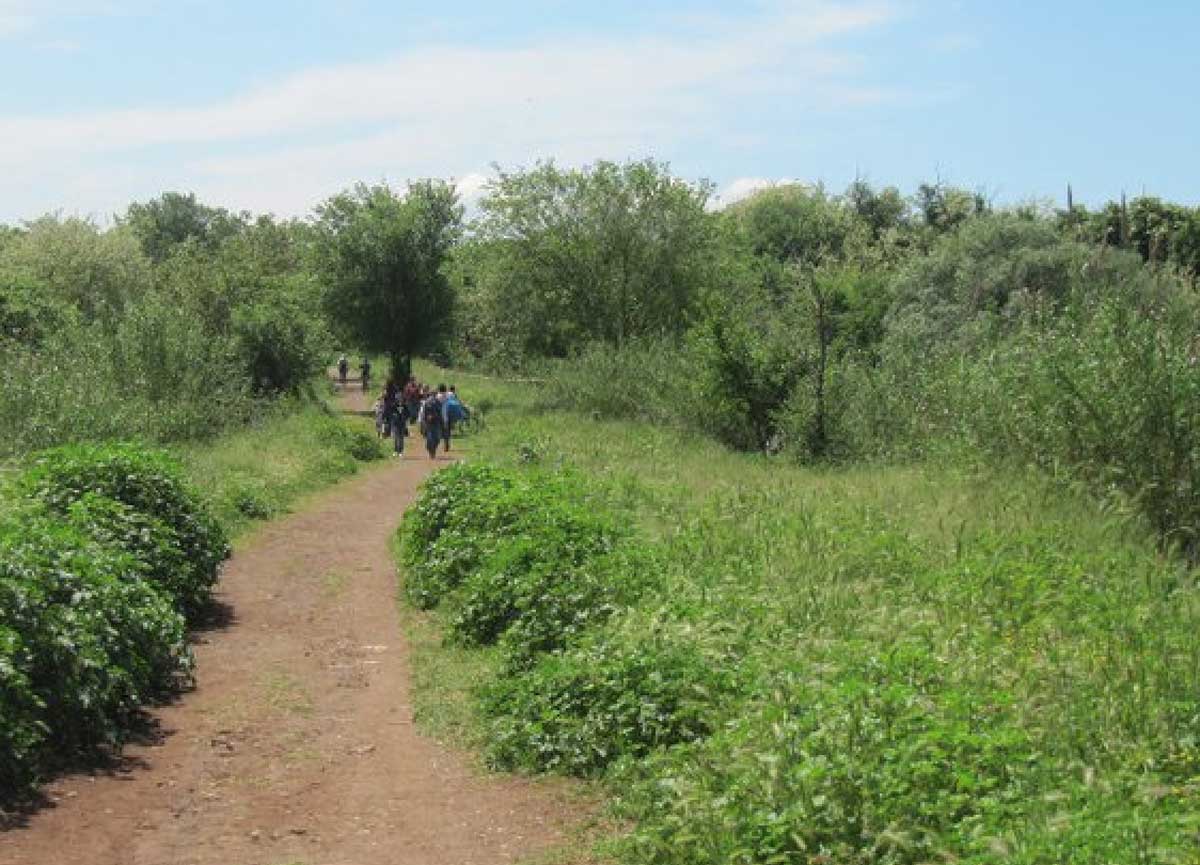 Roma, flash mob dei Comitati per salvare la Valle del Fosso della Cecchignola Roma, flash mob dei Comitati per salvare la Valle del Fosso della Cecchignola