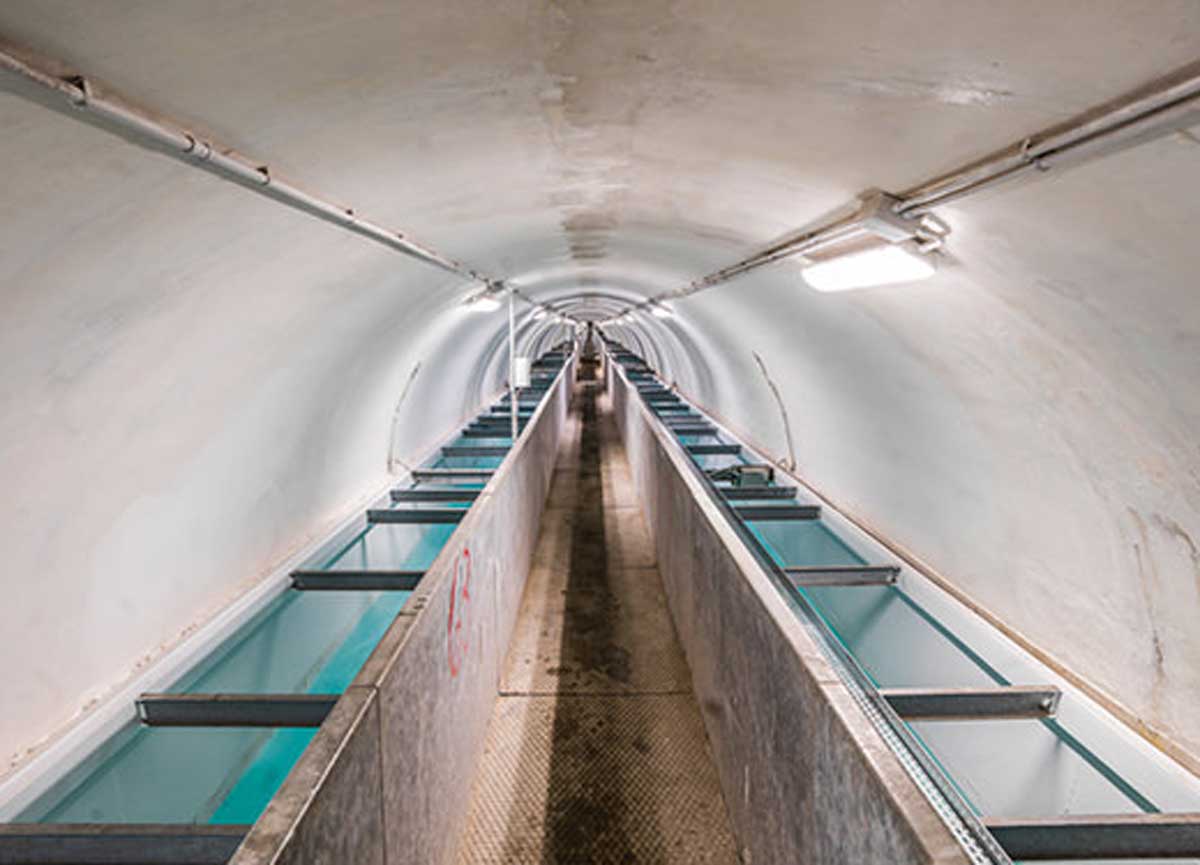 Acea vola in alto, utili record nel 2023 e piano investimenti da 7,6 miliardi