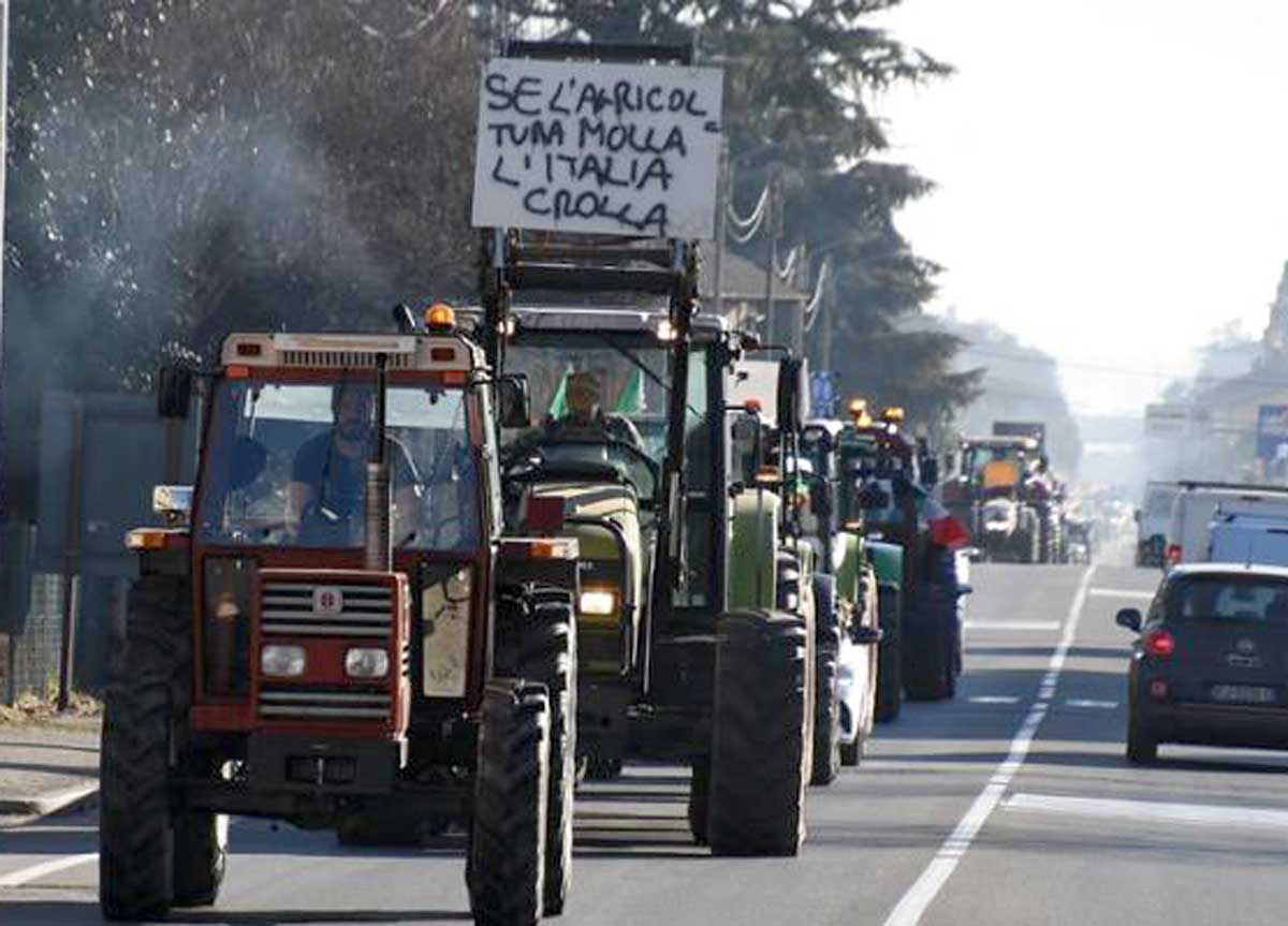 Agricoltori italiani, il movimento puro e apolitico nato dalle proteste Agricoltori italiani, il movimento puro e apolitico nato dalle proteste