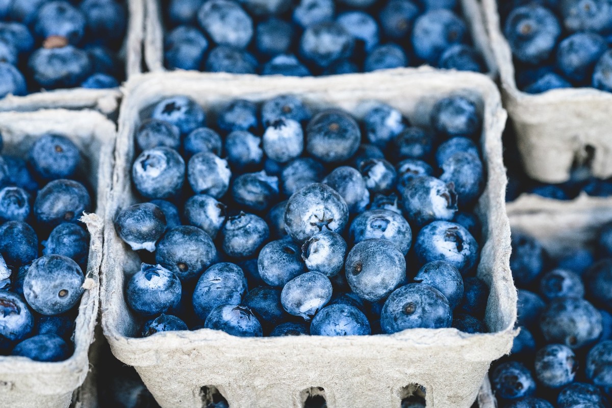 Acquisite Bomarea e AvoAmerica Perù, Unifrutti si rafforza a livello globale Acquisite Bomarea e AvoAmerica Perù, Unifrutti si rafforza a livello globale