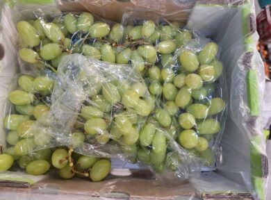 Imballaggi, lo stop ai monouso in plastica infuria la filiera ortofrutticola