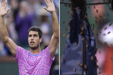 Alcaraz attaccato da sciame d’api (video). Poi batte Zverev e ora ha Sinner