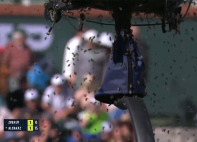 Tennis, clamorosa invasione di api durante Zverev-Alcaraz a Indian Wells