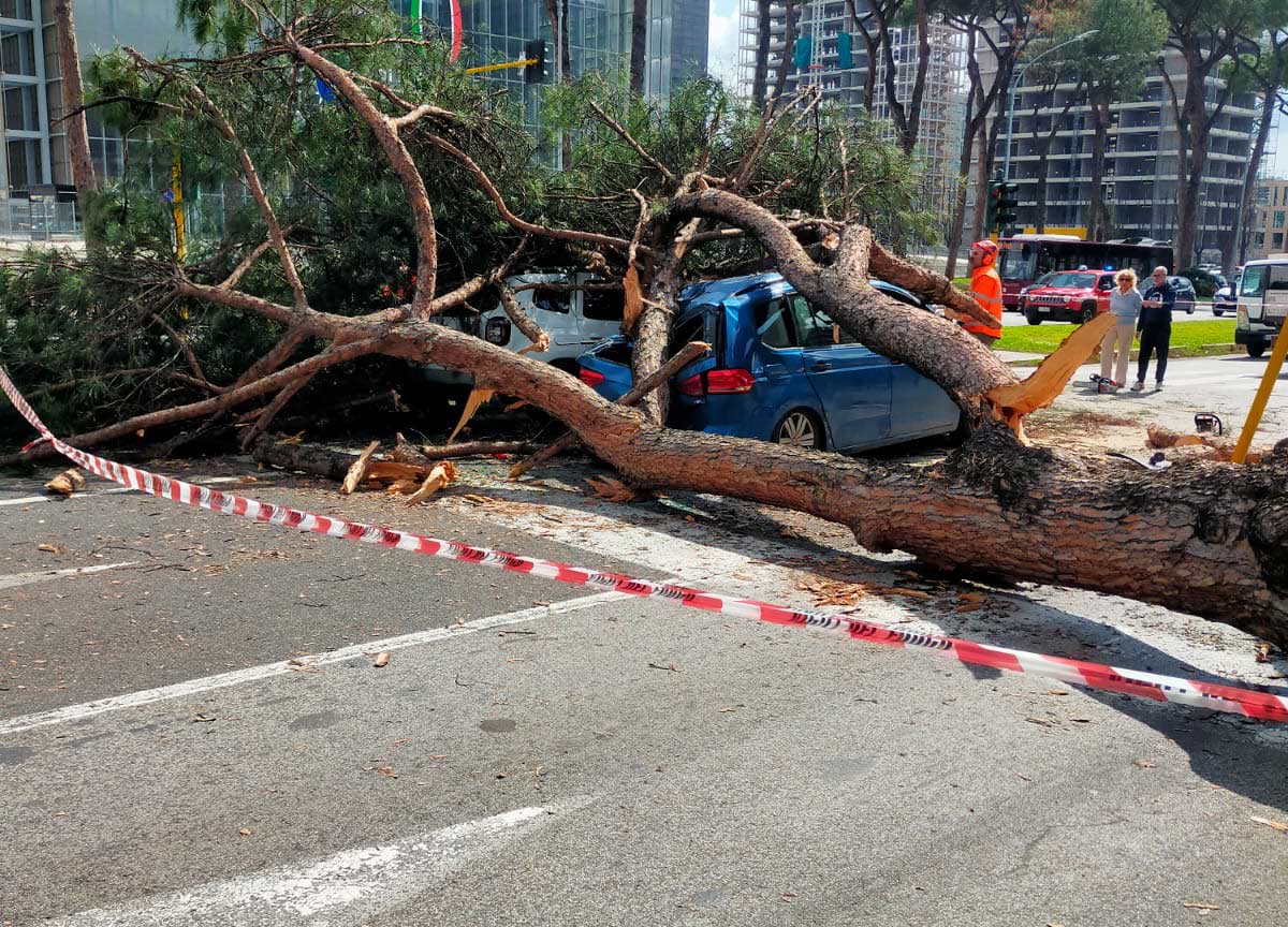 Crolla un pino sulla Colombo e centra un’auto: automobilista ferito a Roma Crolla un pino sulla Colombo e centra un’auto: automobilista ferito a Roma