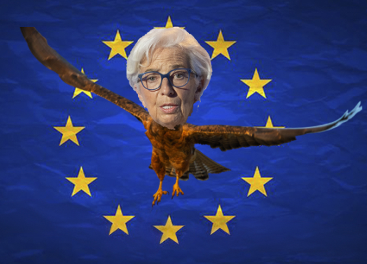 Bce lancia l’allarme green deal: “Rendimento delle imprese calerà di un terzo” Bce lancia l’allarme green deal: “Rendimento delle imprese calerà di un terzo”
