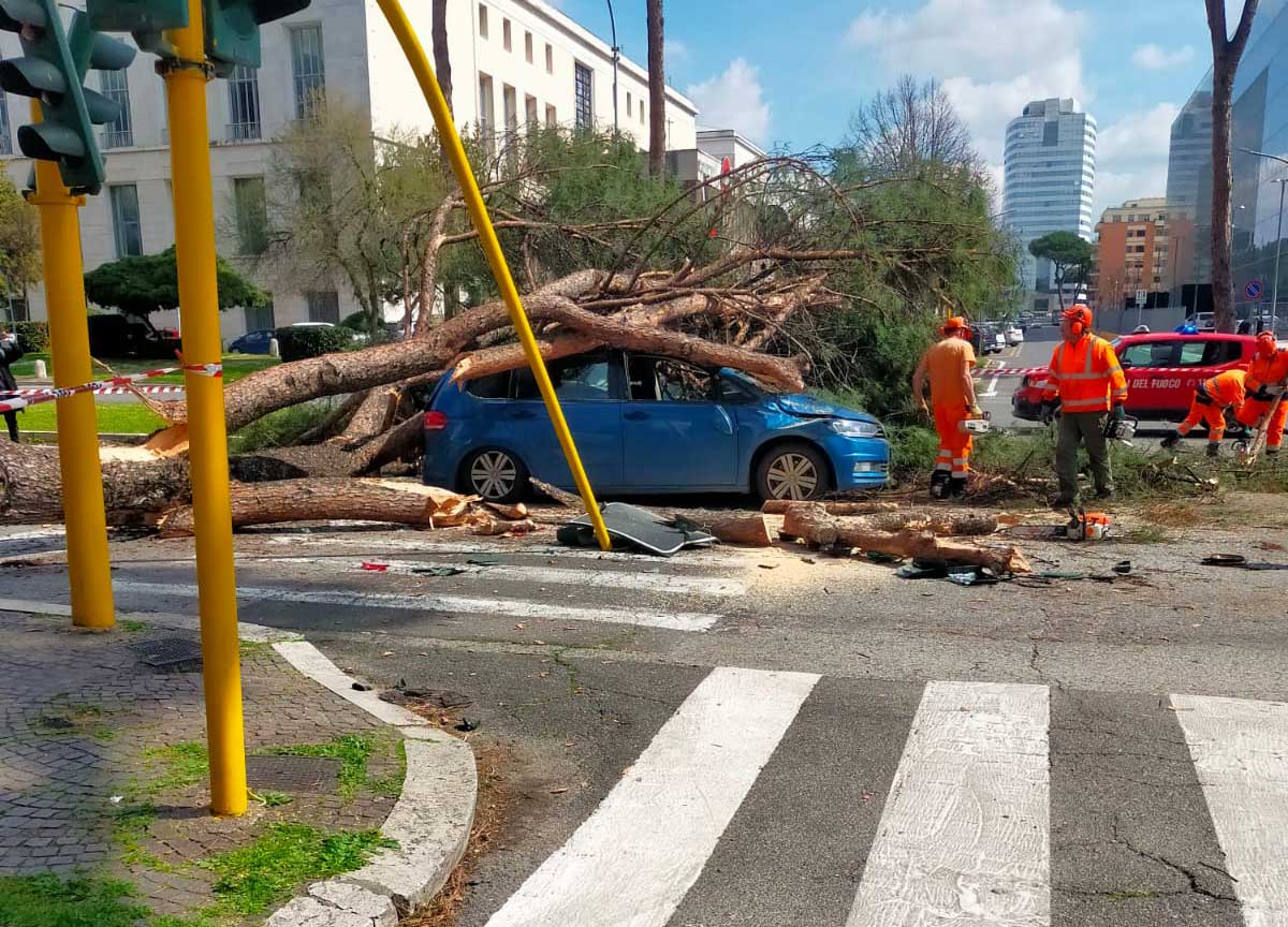Albero caduto a Roma: il video choc del crollo sull’auto in transito all’Eur