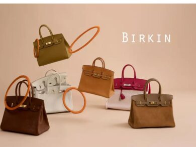 La borsetta iconica inguaia Hermès: modalità irregolari per accedere a Birkin