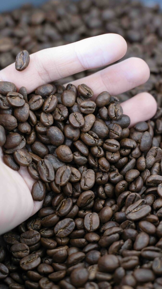 Ditta Artigianale, Mixology 2024: l’arte del bere miscelato incontra il caffè Ditta Artigianale, Mixology 2024: l’arte del bere miscelato incontra il caffè