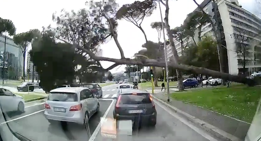 Albero caduto a Roma: il video choc del crollo sull’auto in transito all’Eur