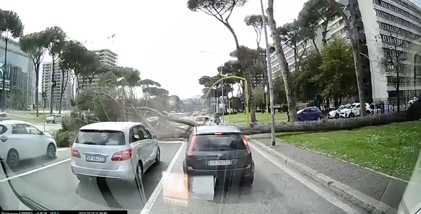 Albero caduto a Roma: il video choc del crollo sull’auto in transito all’Eur