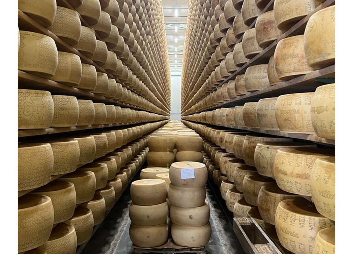 In fuga con 250 chili di formaggio: in manette il “Lupin del pecorino” In fuga con 250 chili di formaggio: in manette il “Lupin del pecorino”