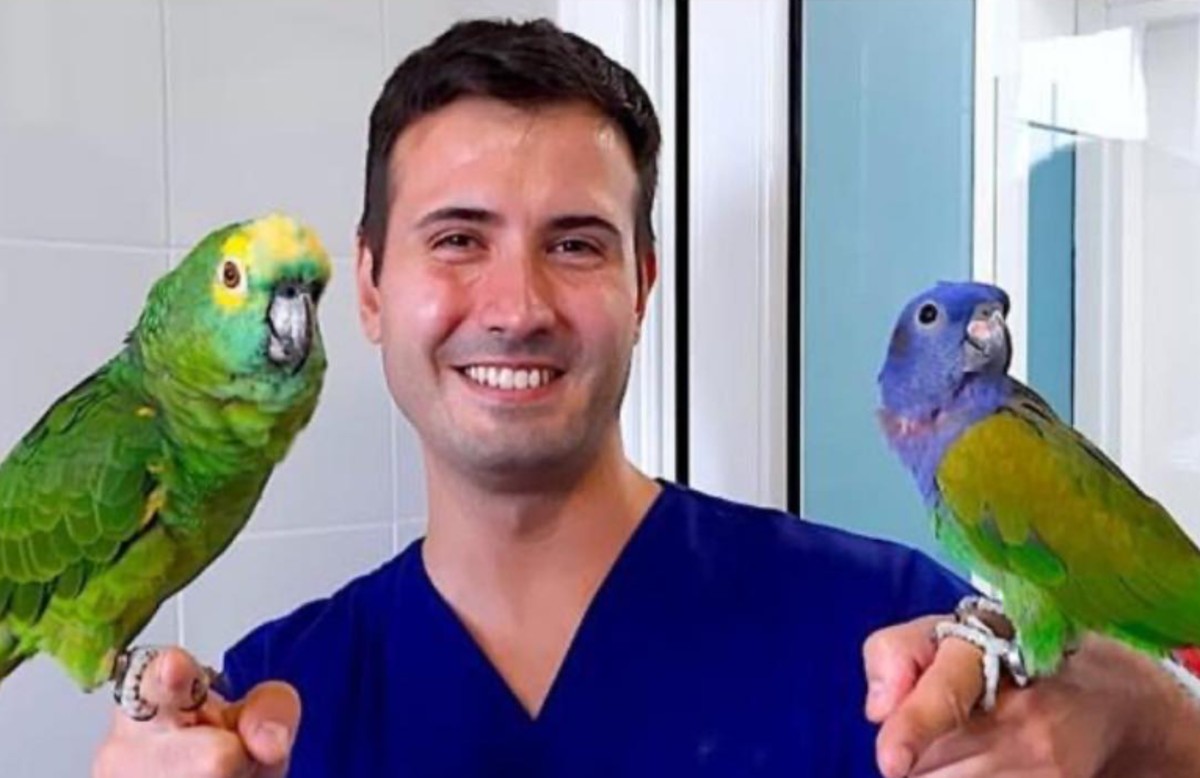 Chi è Marco Petrini, il DottorPet famoso sui social che non ce l ha fatta Chi è Marco Petrini, il DottorPet famoso sui social che non ce l ha fatta