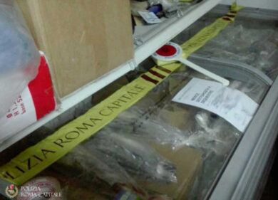 Negozi da incubo: blatte e merce scaduta nel minimarket: scatta la chiusura