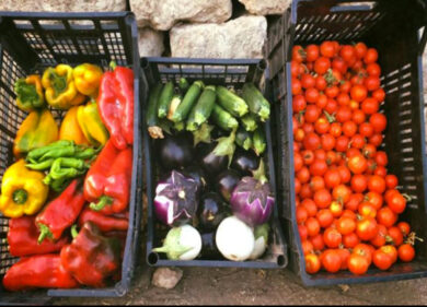 Pesticidi, allarme in frutta e ortaggi: classifica dei più e meno pericolosi