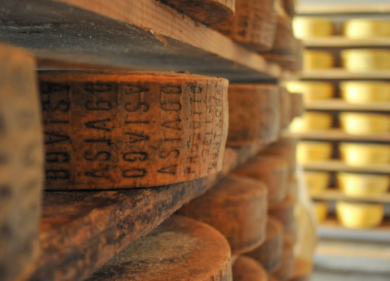 Asiago DOP celebra l’unicità della sua produzione a ‘Formaggio in Villa’