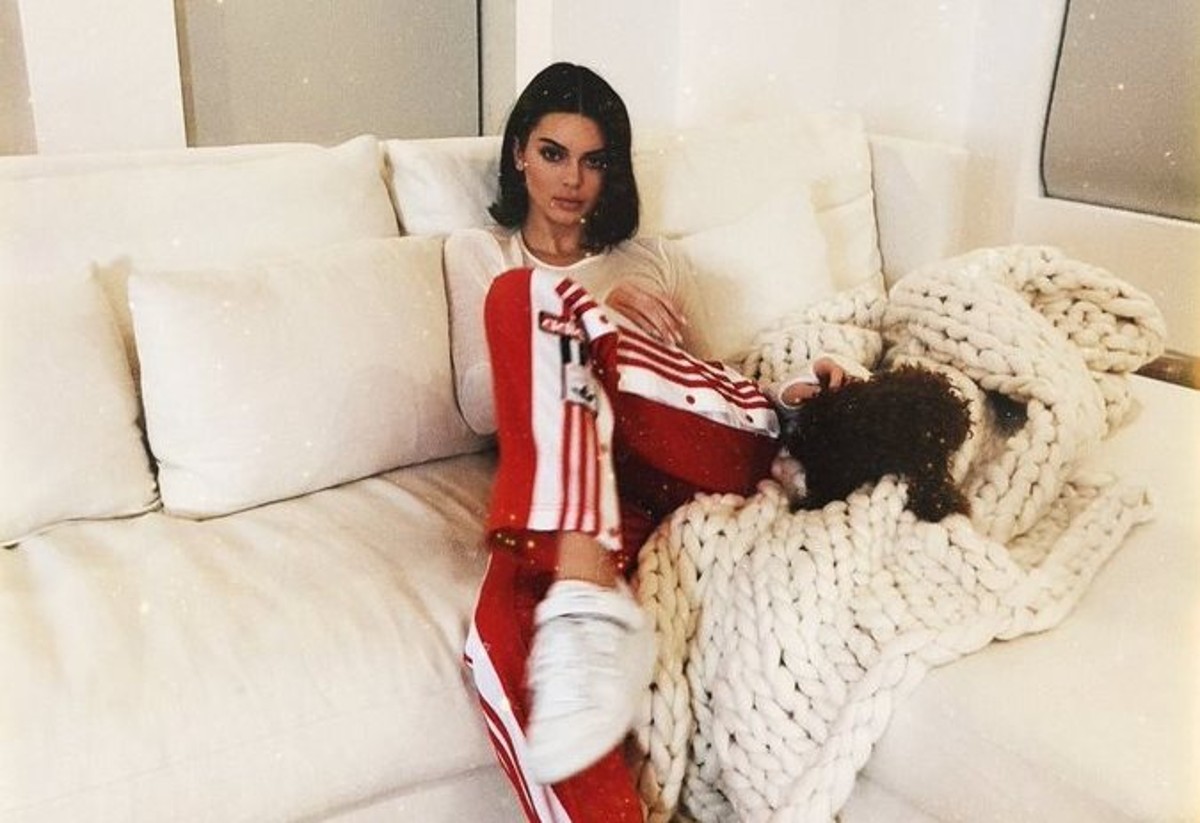 Brand o brand…elli/ Adidas, dalla storica rivalità con Puma ai conti in crescita: storia del marchio delle tre strisce