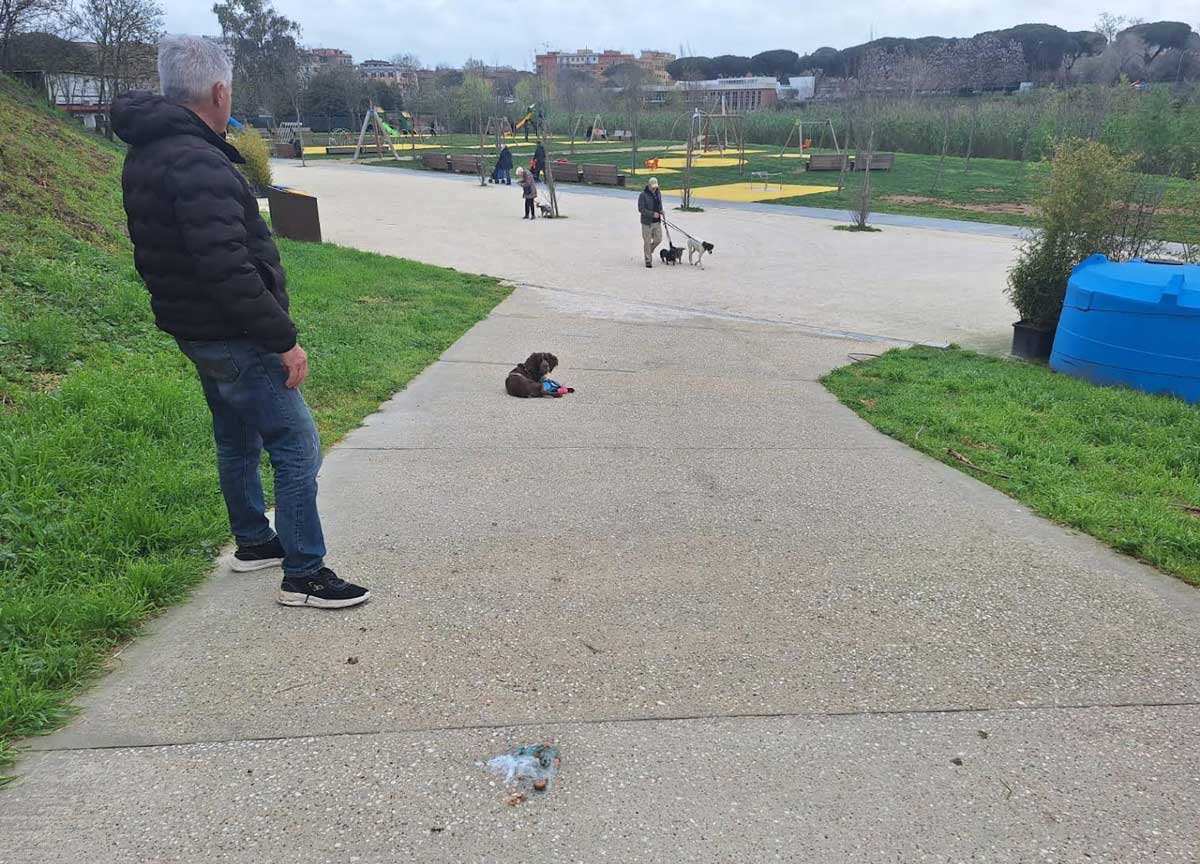 Parco Marconi, scatta la psicosi polpette avvelenate: morto un Jack Russell Parco Marconi, scatta la psicosi polpette avvelenate: morto un Jack Russell