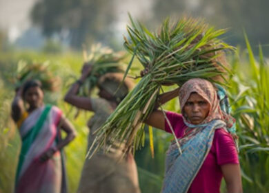Coca Cola-Pepsi, l’orrore del business dello zucchero. NYT: “Donne sterilizzate per non fermarsi mai”