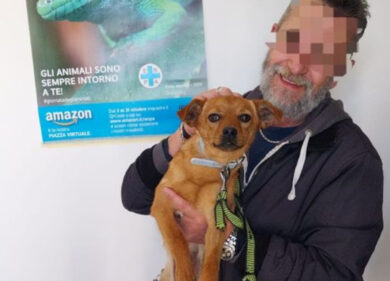 Foggia, adotta il cane che investe accidentalmente: Enpa concede benemerenza