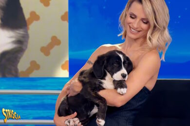 Ascolti tv, Striscia sfiora il 17% con il ritorno di Michelle Hunziker