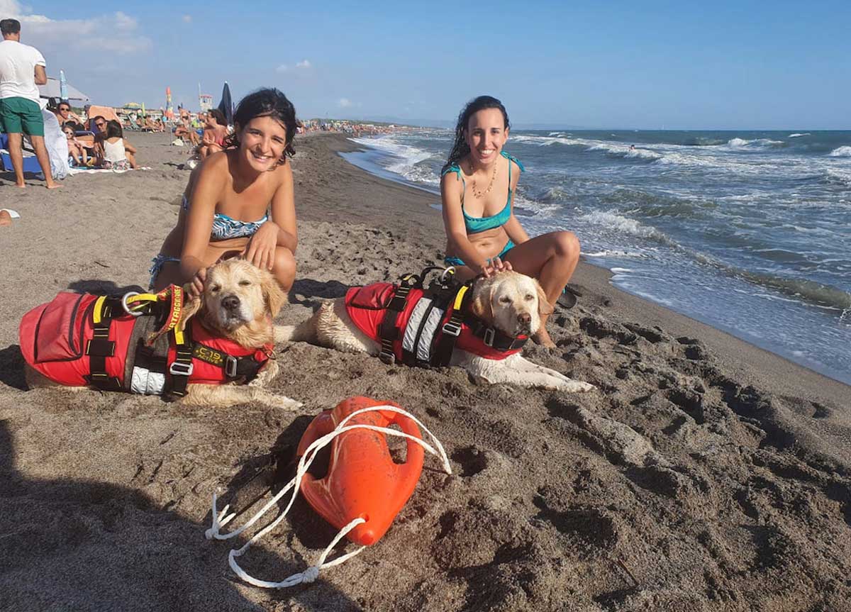Salvò 14 bagnanti a Sperlonga: addio a Mira, labrador eroica della scuola Sics Salvò 14 bagnanti a Sperlonga: addio a Mira, labrador eroica della scuola Sics