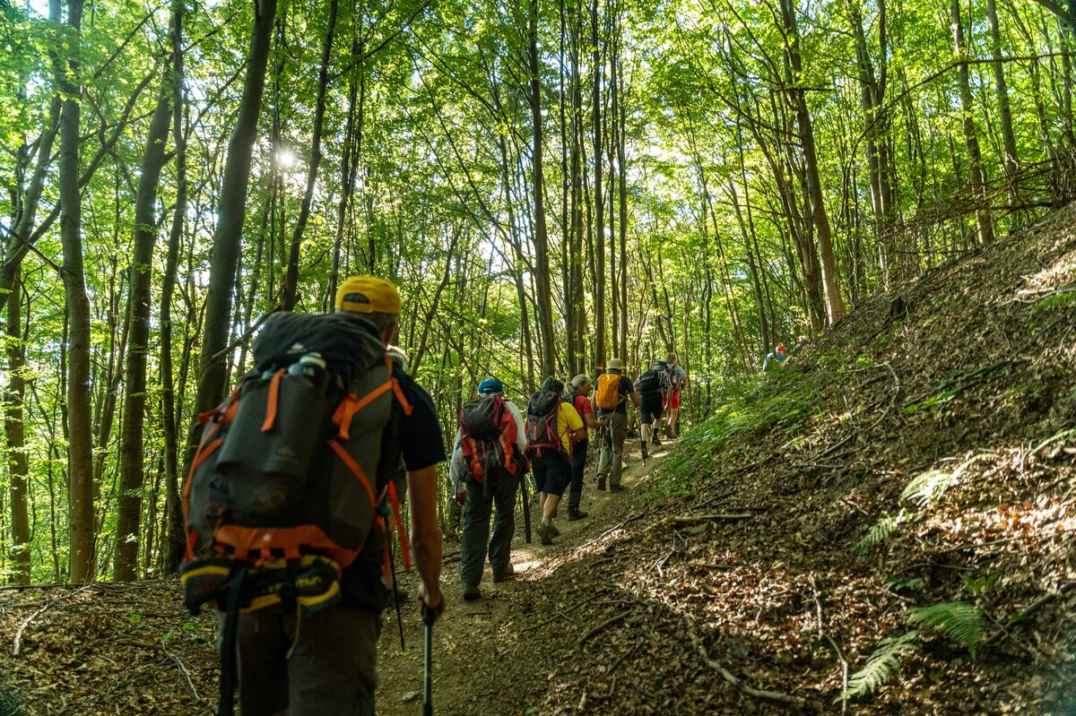 Torna il Francigena Fidenza Festival: cammini e non solo dall’11 al 14 aprile Torna il Francigena Fidenza Festival: cammini e non solo dall’11 al 14 aprile