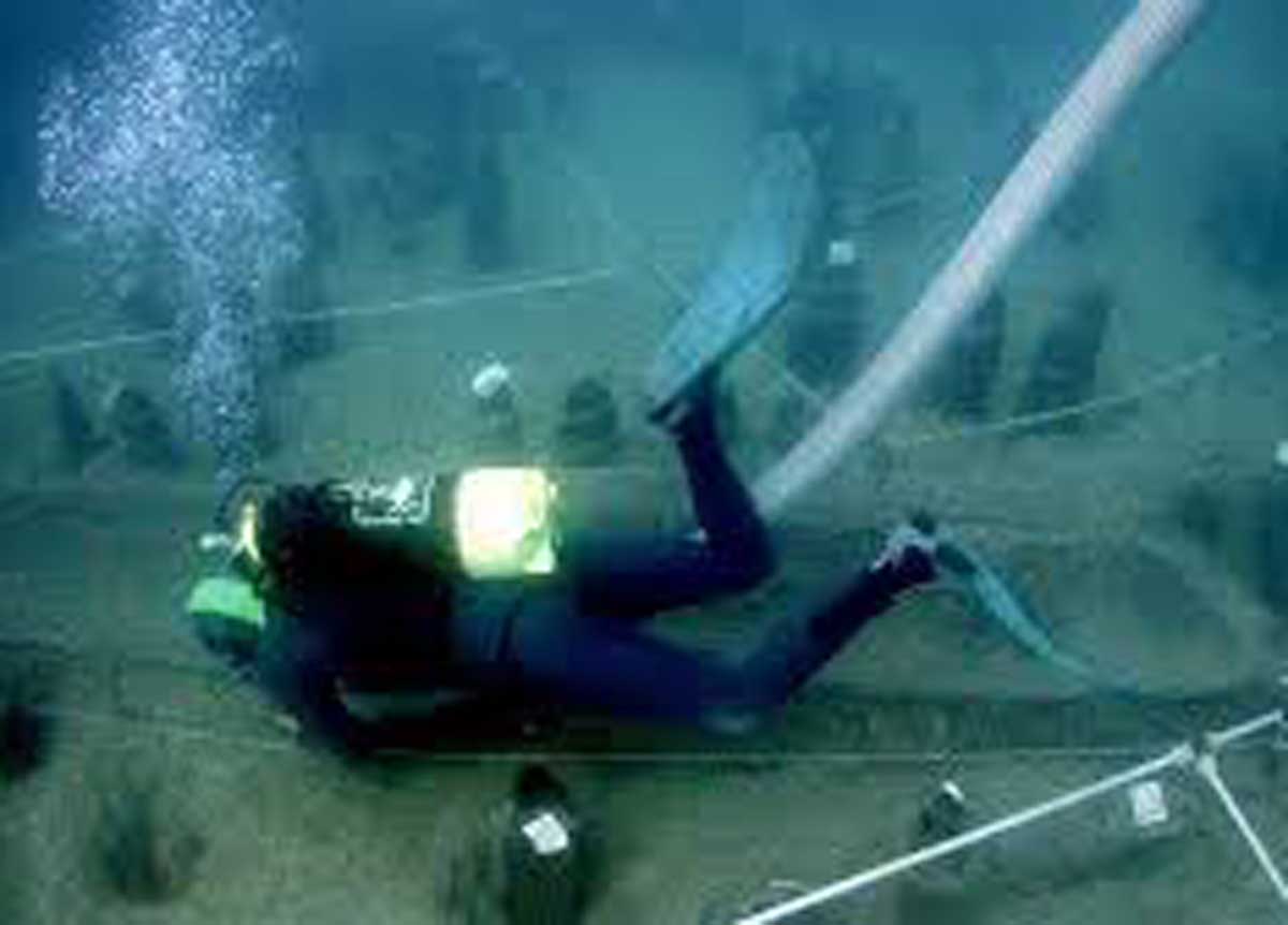 La scoperta nel lago di Bracciano, dai fondali spuntano canoe di 7000 anni fa La scoperta nel lago di Bracciano, dai fondali spuntano canoe di 7000 anni fa