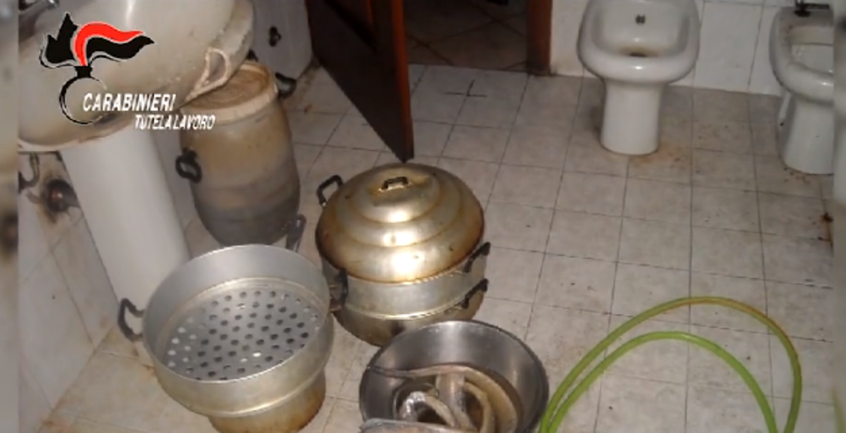 Cattura Cattura