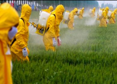 Glifosato/ Negli USA fa male in UE no: possibile? I dati e quanto ne assumiamo