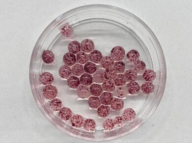 Agricoltura cellulare, la soluzione di Enea ai cambiamenti climatici