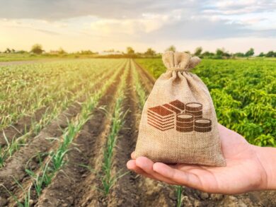 CSQA acquisisce Check Fruit, nasce nuovo polo della certificazione alimentare