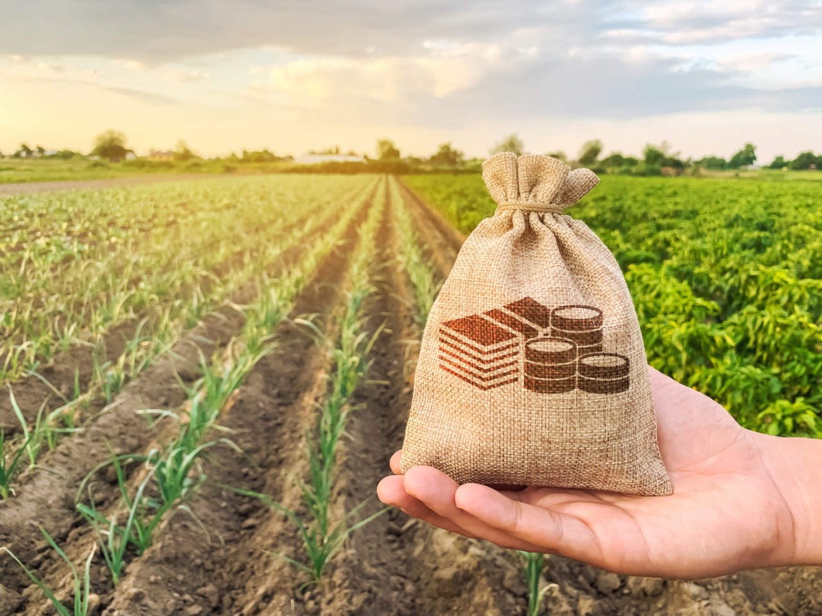 CSQA acquisisce Check Fruit, nasce nuovo polo della certificazione alimentare CSQA acquisisce Check Fruit, nasce nuovo polo della certificazione alimentare