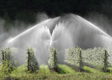 Giornata del Made in Italy, ANBI: l’eccellenza agroalimentare nasce nei campi