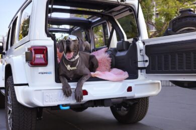 Jeep Wrangler 2024 e 4xe debutta la campagna globale “Famous for Freedom”