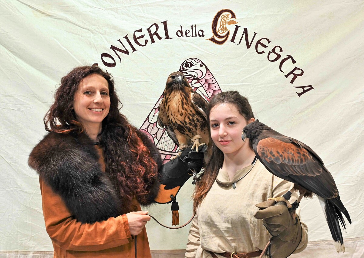 Torino Comics 2024 un grande successo di pubblico Torino Comics 2024 un grande successo di pubblico