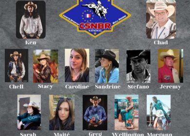 Tori scatenati, il rodeo in Fiera Roma fa impazzire gli animalisti: forza tori