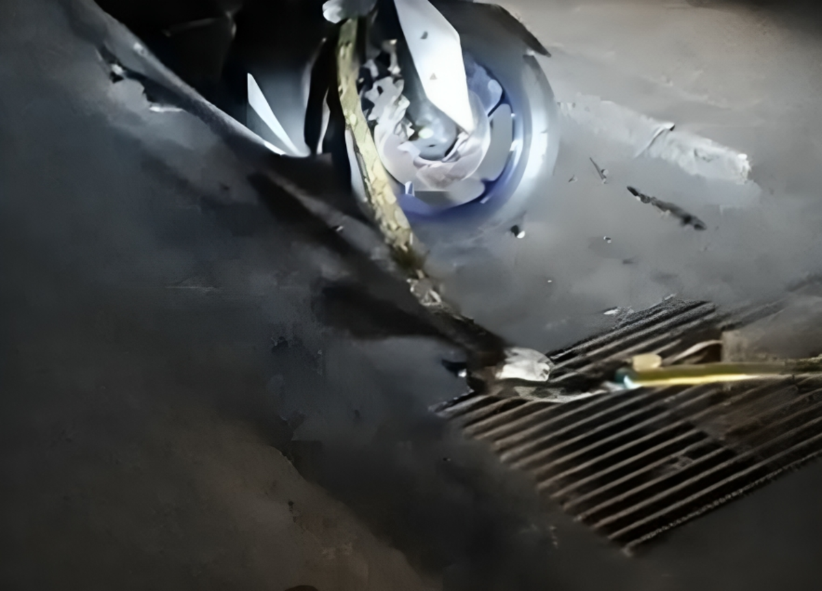 Pitone arrotolato nella motocicletta: l’incredibile salvataggio. VIDEO Pitone arrotolato nella motocicletta: l’incredibile salvataggio. VIDEO