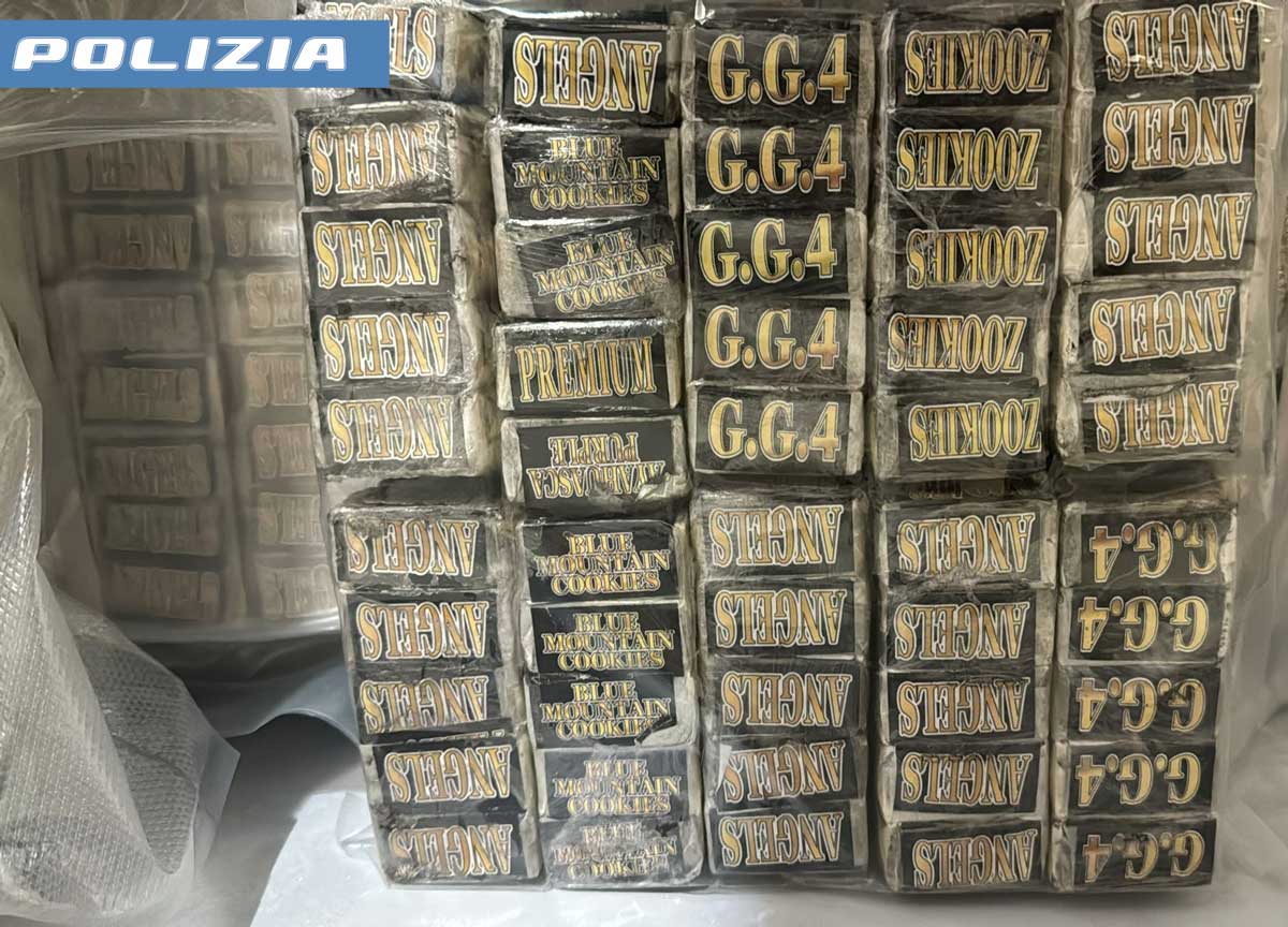 Droga per 10 mln nel freezer. Donna grossista con una tonnellata di hashish Droga per 10 mln nel freezer. Donna grossista con una tonnellata di hashish
