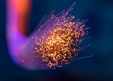 Open Fiber: Nature pubblica i risultati del progetto MEGLIO