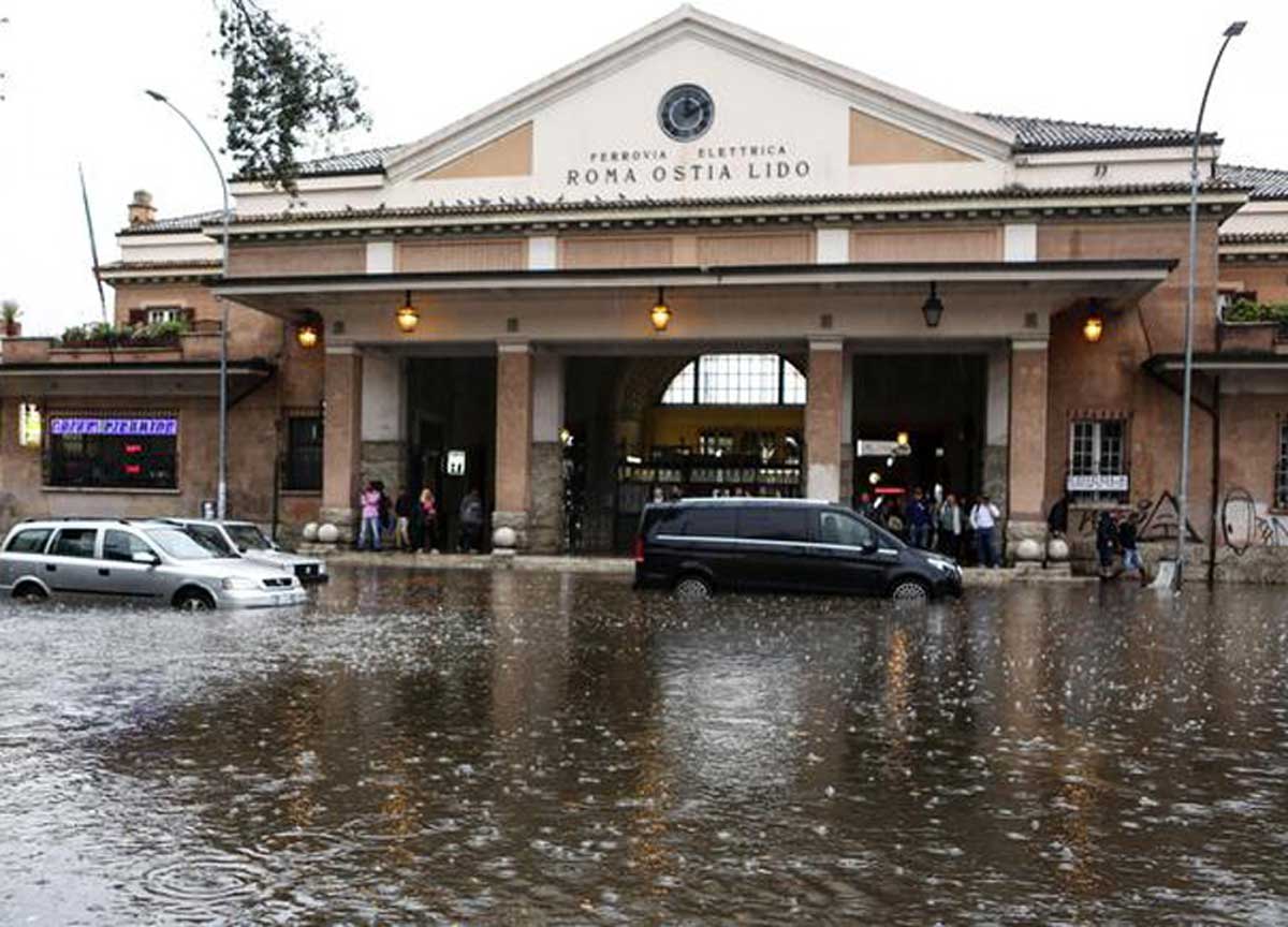 Elezioni, i voti del Wwf a programmi e partiti: silenzio di Cdx e Italia Viva Elezioni, i voti del Wwf a programmi e partiti: silenzio di Cdx e Italia Viva