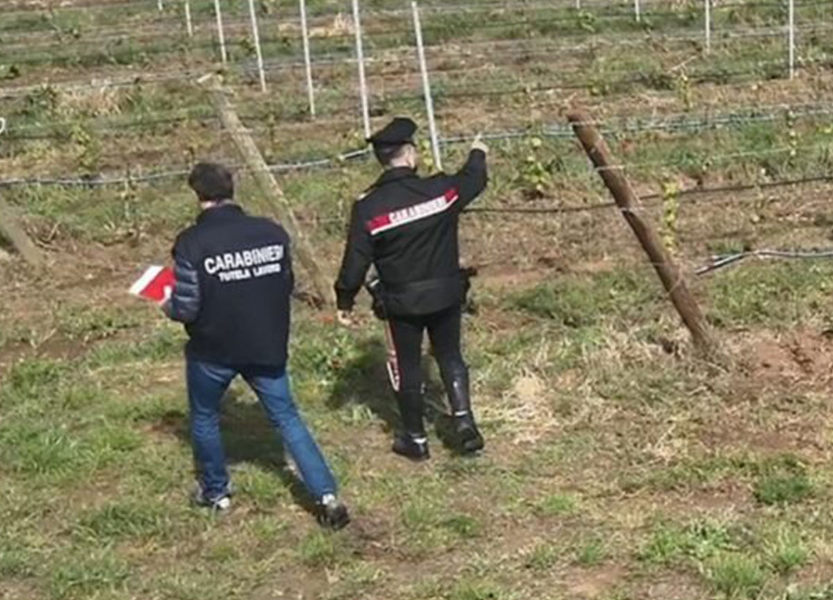 Caporalato in agricoltura, 10 arresti in Toscana: migranti sfruttati nei campi Caporalato in agricoltura, 10 arresti in Toscana: migranti sfruttati nei campi