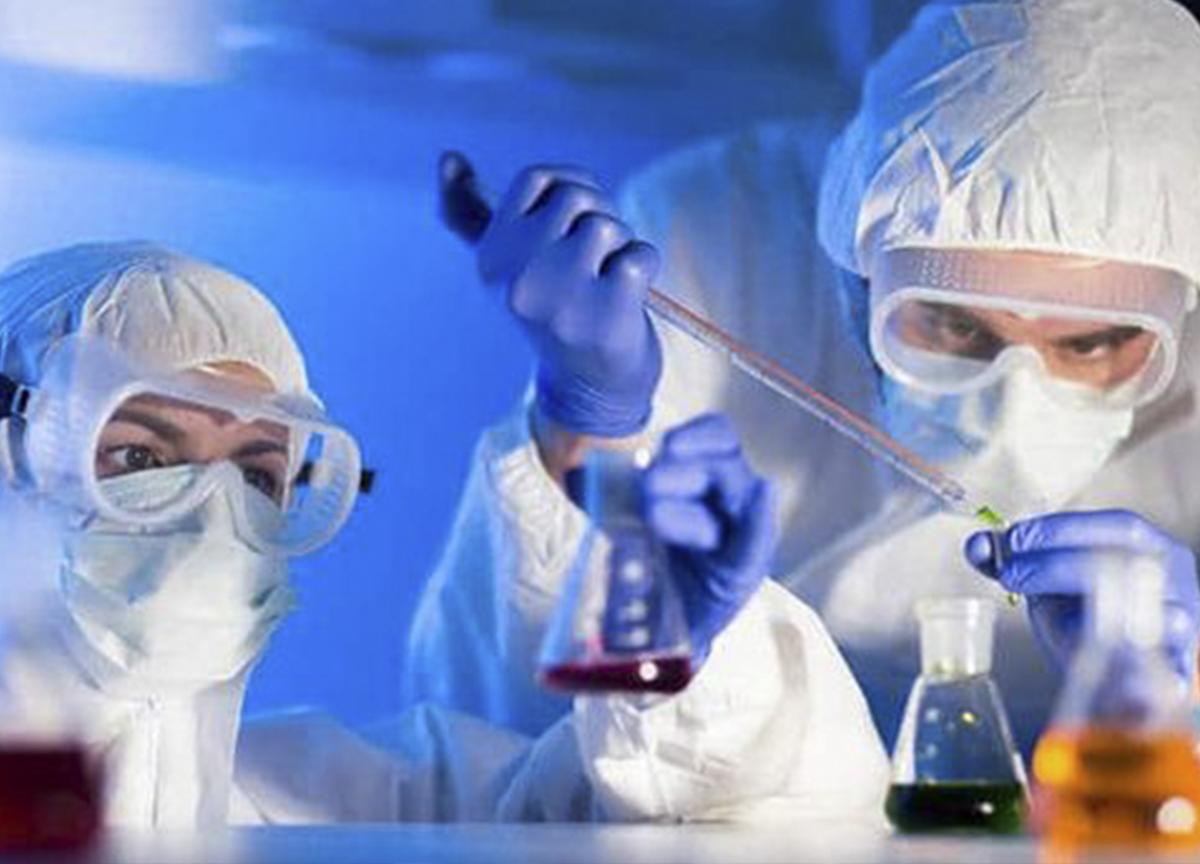 Covid, preoccupa la variante KP.2. La sua mutazione elude tutti i vaccini Covid, preoccupa la variante KP.2. La sua mutazione elude tutti i vaccini