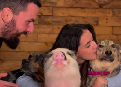 Charley e Anna, Pumbino e l’amore per gli animali. Sul web tutti li adorano