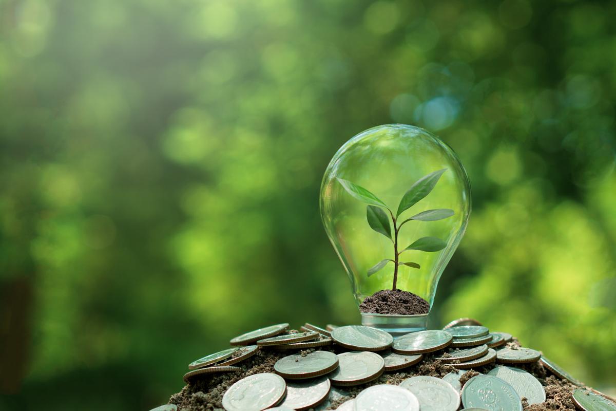 Investimenti green, rallenta la corsa ma la massa ETF Esg sale a 600 mld Investimenti green, rallenta la corsa ma la massa ETF Esg sale a 600 mld