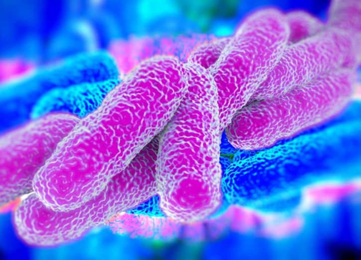 Legionella, dieci casi nel Milanese: il punto Legionella, dieci casi nel Milanese: il punto