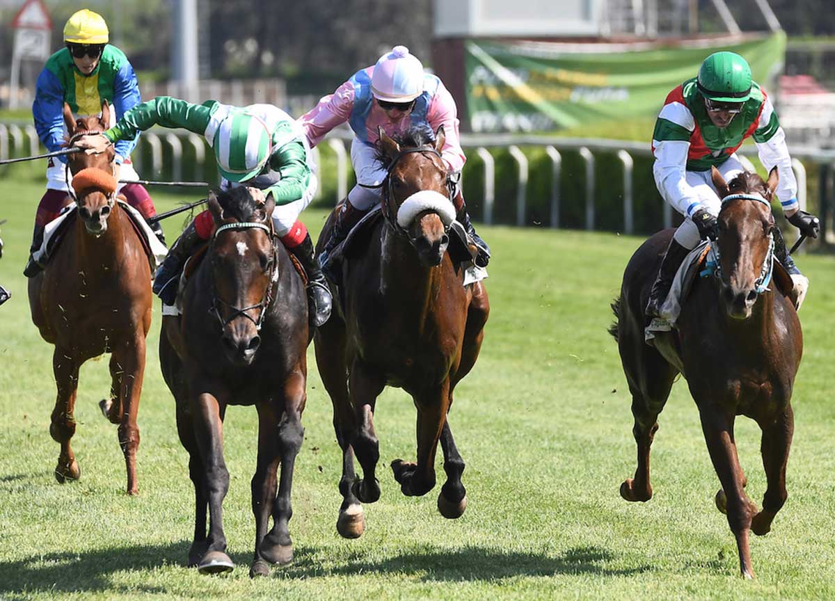 Roma galoppa: cavalli e miss eleganza per il Derby Italiano, la corsa clou